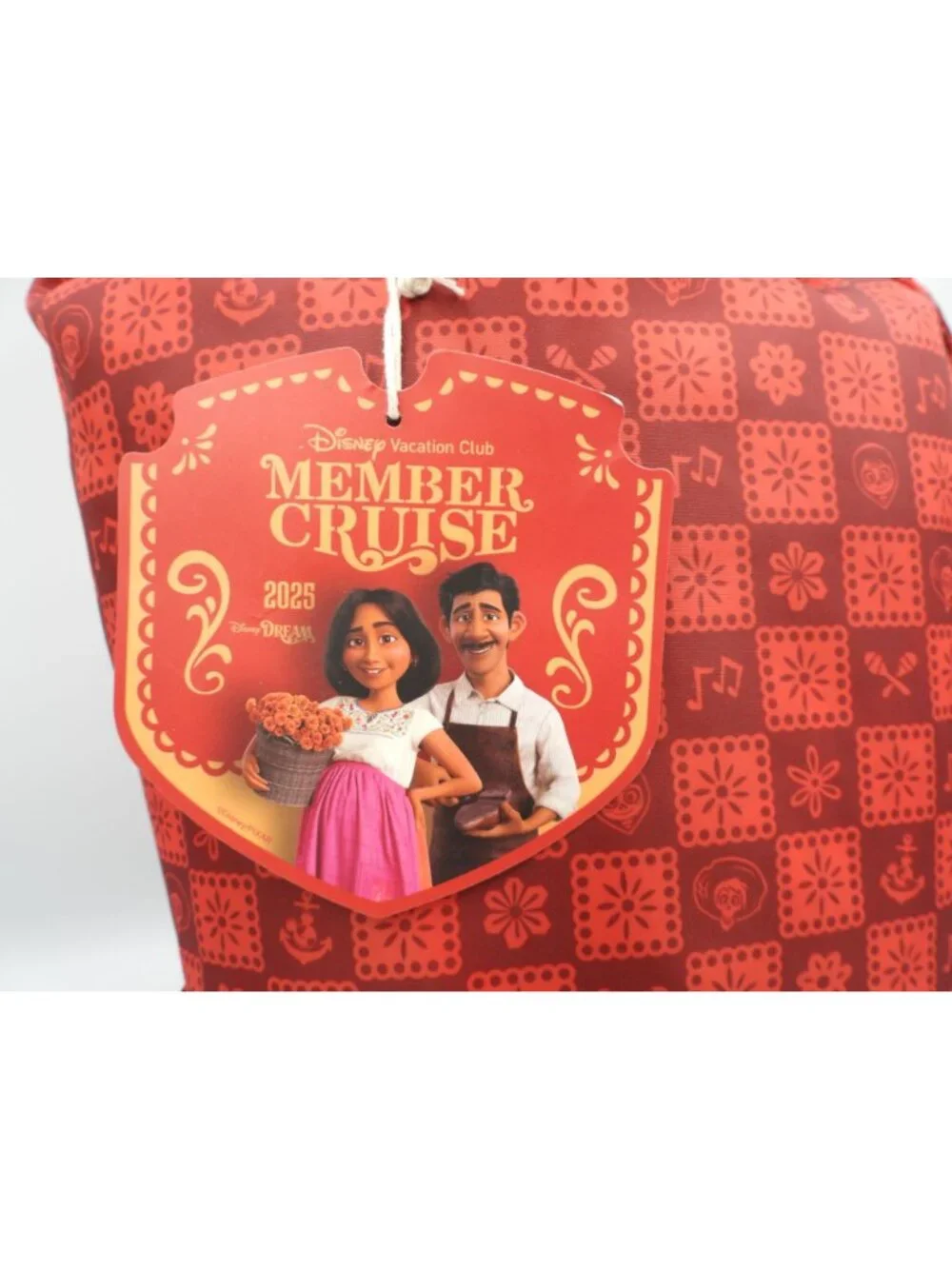 Disney Vacation Club 2025 Member Cruise Dream Coco Beach Towel & Wet Gear Bag